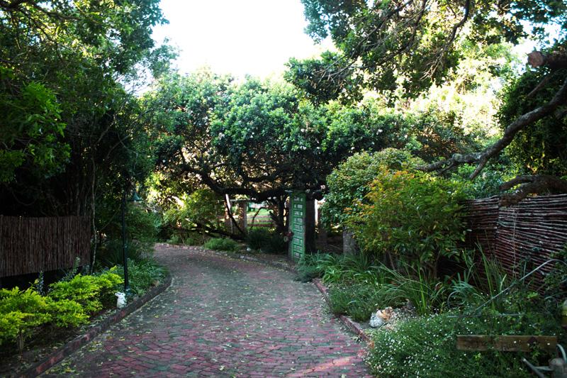 To Let 2 Bedroom Property for Rent in Chelsea Eastern Cape